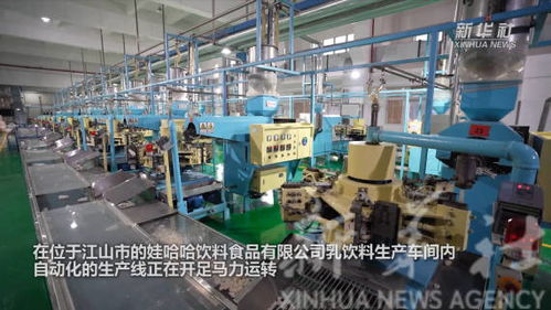 奮斗正當(dāng)時(shí) 浙江信息技術(shù)咨詢服務(wù)企業(yè)新春開工忙，蓄力數(shù)字新程